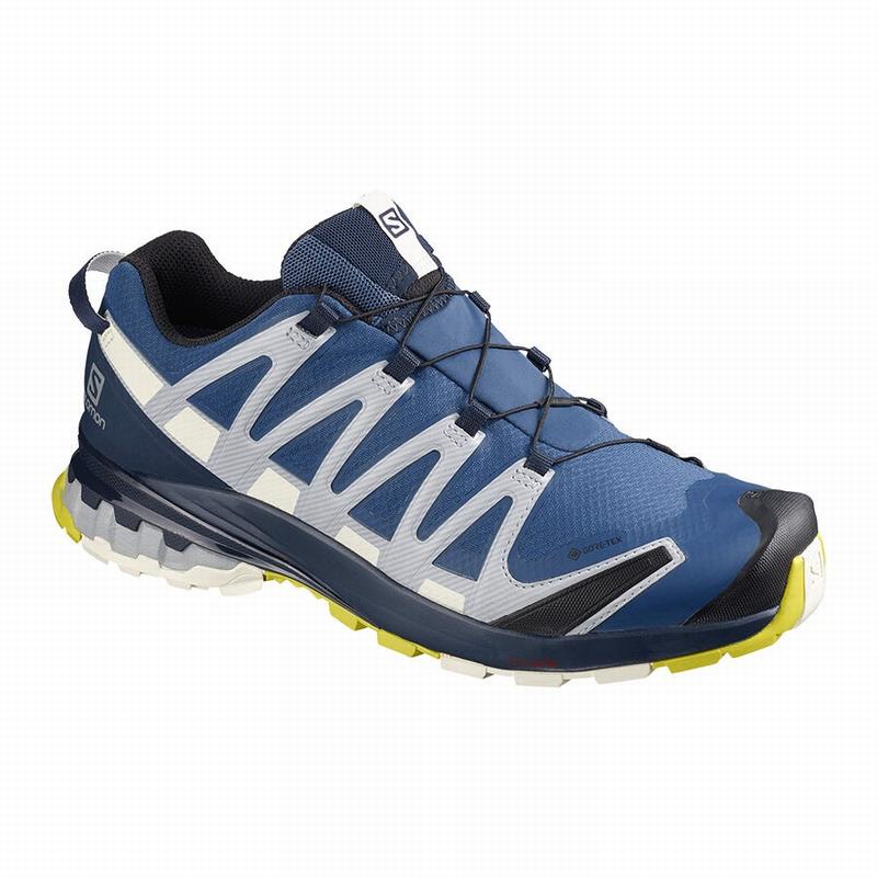 Zapatillas Trail Running Salomon Hombre Azul Marino - Salomon Argentina XA PRO 3D V8 GORE-TEX ,13729